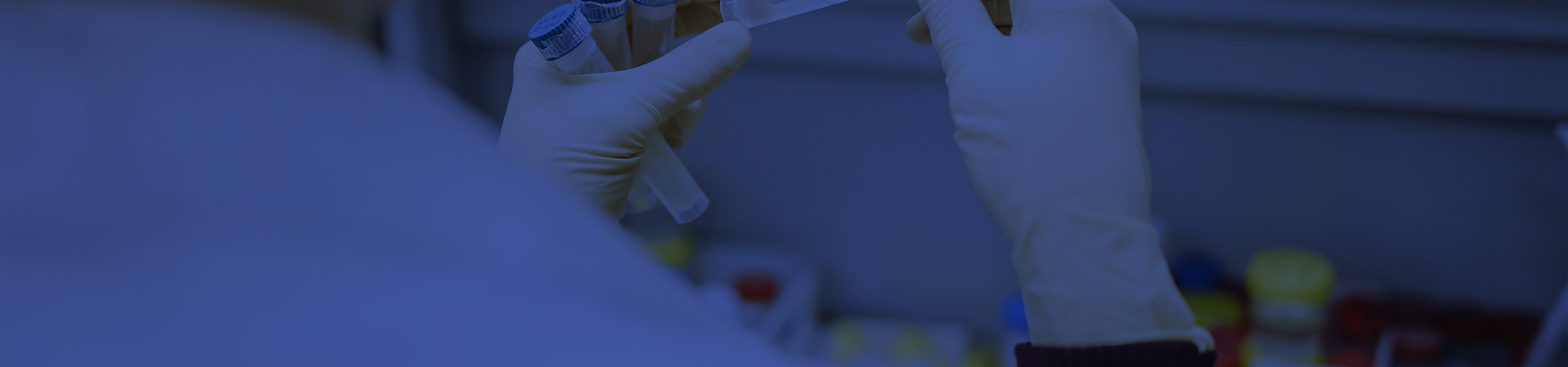 服务与解决方案-致力于为体育产品检测作出贡献<